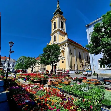 Zemun Central * Zemun