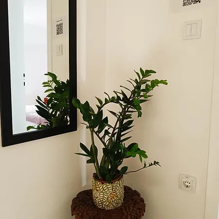 Zemun Central Apartman